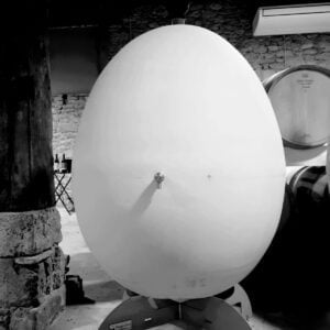 élevage de vin bio en oeuf en grès