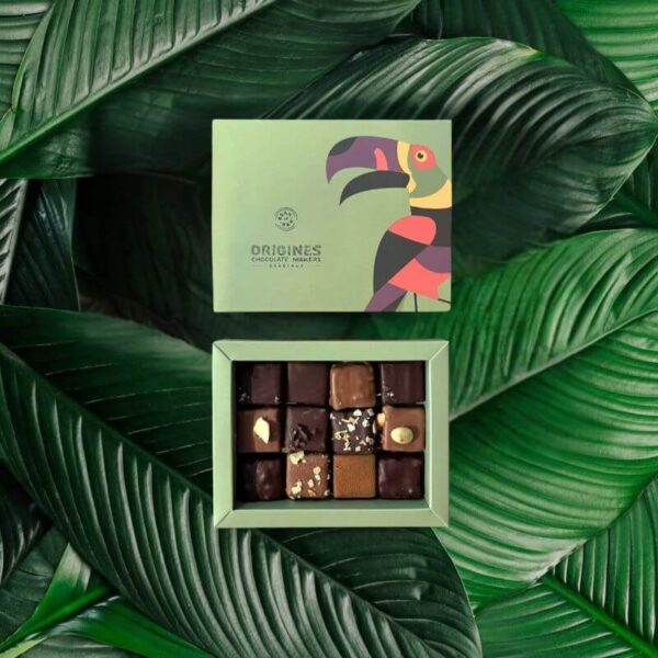 Coffret de 12 bonbons au chocolat bio de la chocolaterie Origines &agrave; Bordeaux.
