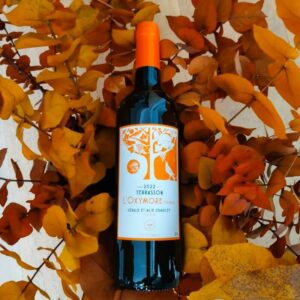 Oxymore orange de Terrasson, Gérald Standley, vin blanc de macération bio élevé en qvevri