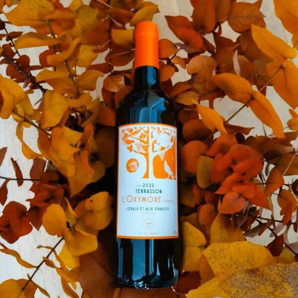 Oxymore orange de Terrasson, G&eacute;rald Standley, vin blanc de mac&eacute;ration bio &eacute;lev&eacute; en qvevri